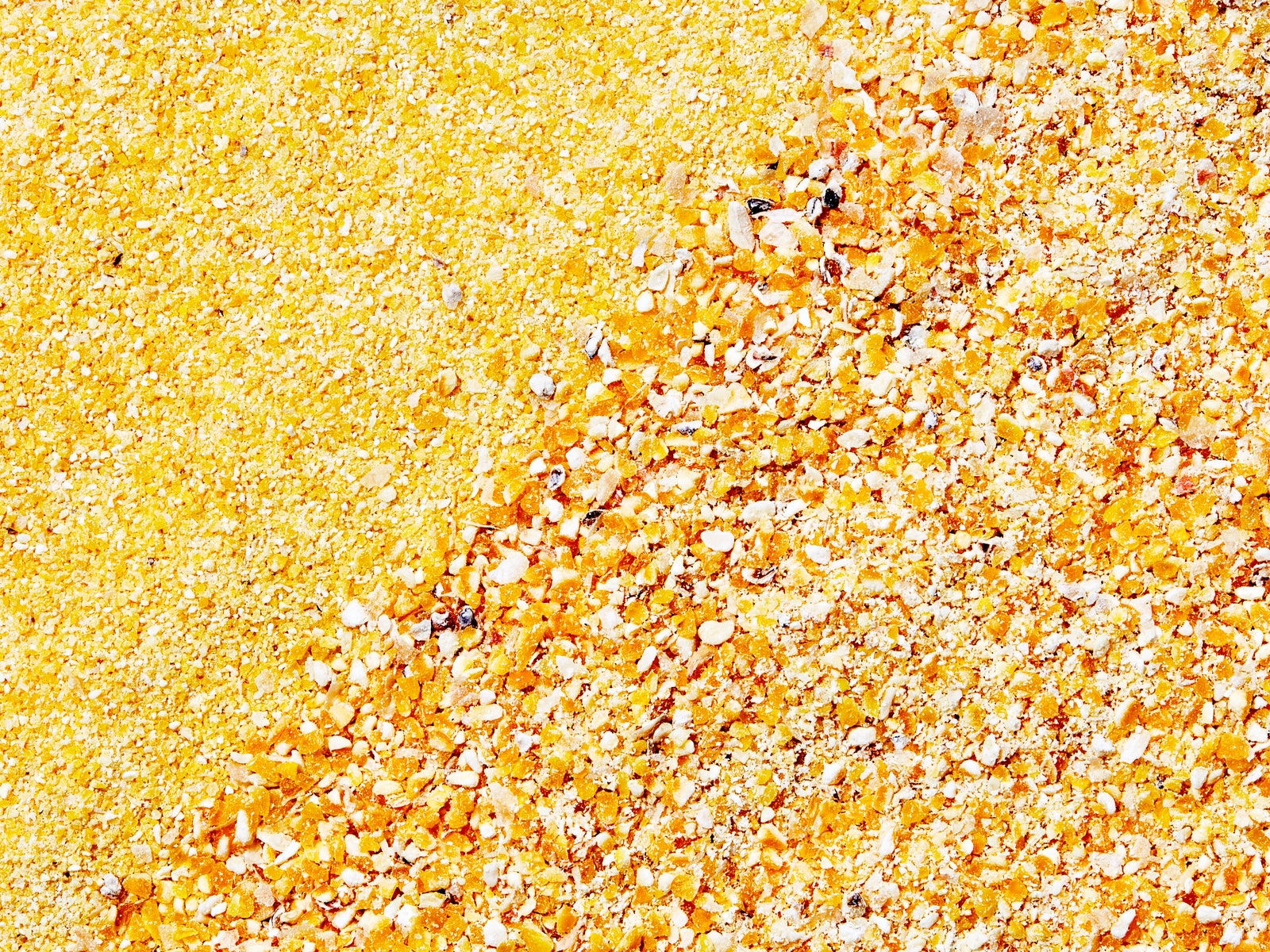 What Is Cornmeal and Which Type Should You Buy?